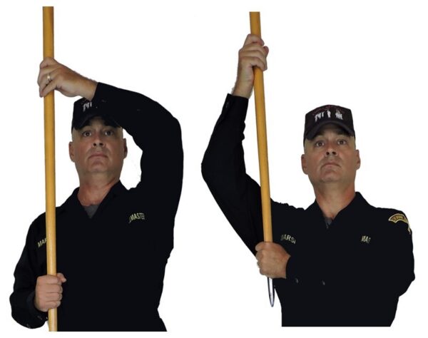 Raised Guidon Army -Left - AF-SF - Right