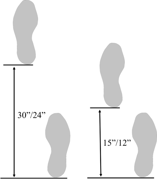 Step Length Measurements