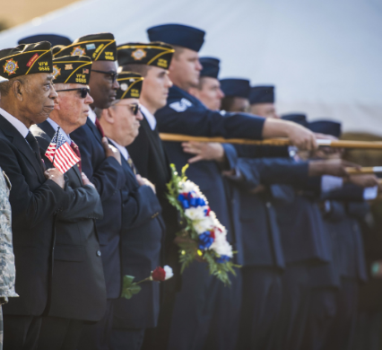 Veterans Saluting